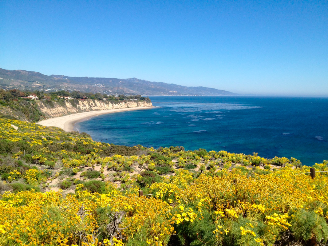 Point Dume Historical Highlights